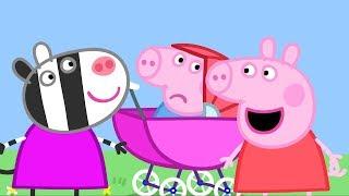 Peppa Pig Português Brasil | O Porquinho Bebê | HD | Desenhos Animados