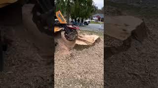 6'2" Stump vs SG-75 Stump Grinder