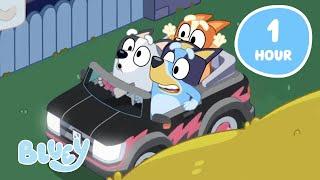 LIVE: Bluey Funny Family Time!   | Bluey Full Episodes and More! | Bluey