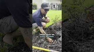 Watch out for this common landscaping “land mine”! 