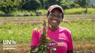 Farmers in Saint Kitts and Nevis embrace technology to combat drought #ClimateAction