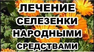 Лечение селезенки народными средствами.