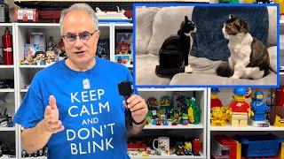 LEGO Tuxedo Cat is an absolute great value! Plus Lego haul surprise