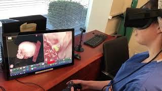 Skullbase Endonasal Endovascular Course: VR training
