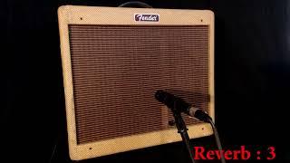 Fender Blues Jr NOS - BillM Mods