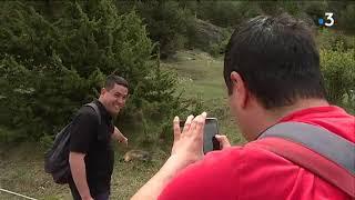 Fin de l'hibernation des marmottes dans les Hautes-Alpes