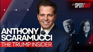 Anthony Scaramucci’s brutal takedown of Donald Trump