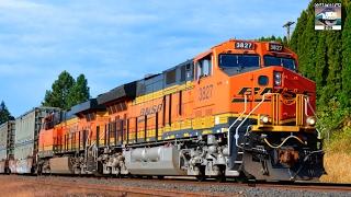 BNSF Trains!