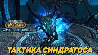 СИНДРАГОСА - ТАКТИКА ЦЛК 25ХМ WOTLK CLASSIC