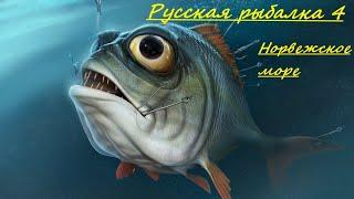 Русская рыбалка 4 РР4. Норвежское Море. Береговая ловля сайры + прилов .