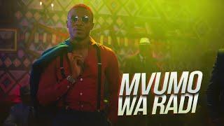 Alikiba - Mvumo Wa Radi (Official Music Video)