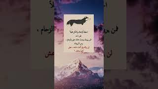 احفظ كرامتك.." نصائح في علم النفس" اقتباسات " حكم و اقوال" حكمة اليوم " حكمة وعبرة" معلومات مفيده
