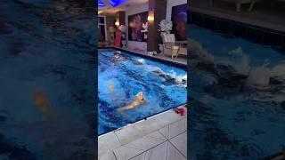 Спорт-это сила! #shorts #vlog #море #family #turkey