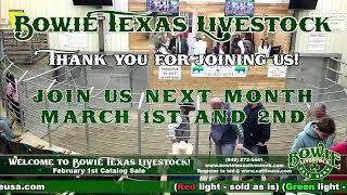 Bowie Texas Livestock February 1st Catalog Sale!