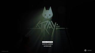 Stray #1