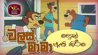 Walas Mama | වලස් මාමා | මසුන් ඇති කිරීම