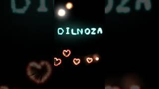 Dilnoza ismiga video