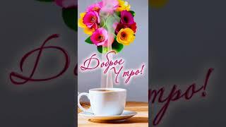Доброе утро #музыкальныеоткрытки #доброеутро #новыйдень