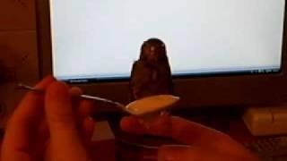 My Sparrow Eating Yogurt / Piti comiendo yogur