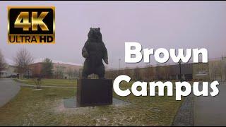 Walking in the Rain at Brown University | Brown University Campus Tour | 4K