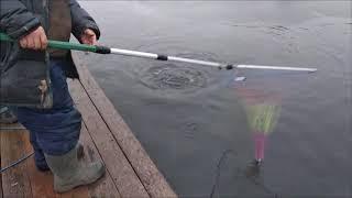 Клевое место д.Савельево.Обзор поимок с водоема.