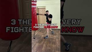 Boxing Theories That Actually Work