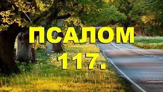 Псалтирь. ПСАЛОМ 117. [рус.]