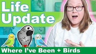 Life Update: Why I've Missed Videos + Bird Antics || Autumn Beckman