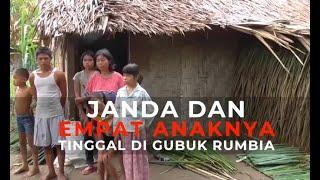 Janda dan Empat Anaknya Tinggal di Gubuk Rumbia