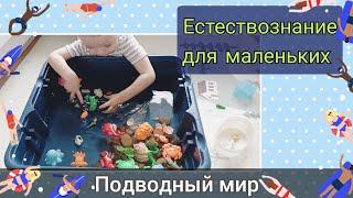 Кто живет под водой? География для детей