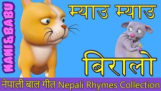 Meow Meow Biralo - Myau Myau Biralo | Nepali Rhymes Collection | लोक प्रिय नेपाली बाल गीत