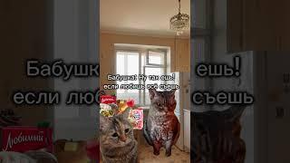 Пов: В гостях у бабушки #mem #cat #catmemes #мем #Жиза #котомемы #lovcat #рек #коты #Рекомендации 