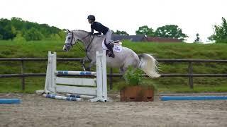 Grand Pleasure (under the saddle)