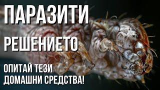 Как да се ЗАЩИТИТЕ от паразити? Природни РЕШЕНИЯ срещу паразити: 10 добавки, които действат бързо!