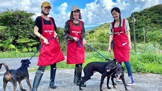 瑞芳動物收容所一日志工篇，詳細完整全程紀錄️一起愛起來～