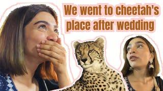 We went to cheetah's place after wedding