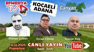 12.11.2024 Salı Adana ve Kocaeli At Yarışları Altılı Ganyan Tahminleri