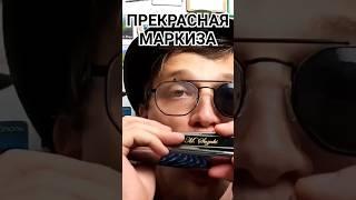 #губнаягармошка #прекраснаямаркиза #harmonica @Chernoslav