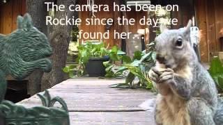 Rockie ~ Facing the Challenge of her Life