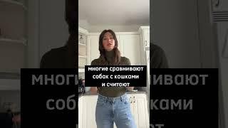 Можно ли измерить ум собаки? #shorts