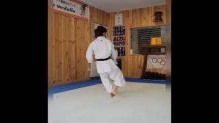 Saltos y explosividad. Sandra Sánchez karate  #Karate #Training #MartialArts #Olympic #Champion