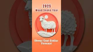 Prosperity throughout the year?  Sheep/Goat Zodiac forecast 2025 #astrology2025 #chineseastrology