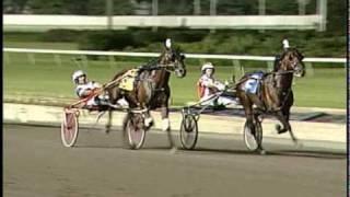 Race Of The Decade, #1 - 2008 Meadowlands Pace