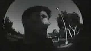 Jeff Taylor - Genesis