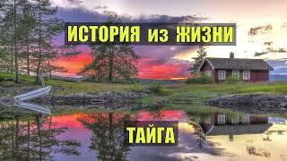 ИСТОРИИ из ЖИЗНИ ЛЕСНИКА СУДЬБА ПОХОДНИКИ в ЛЕСУ в ТАЙГЕ ПРИКОЛЫ ЮМОР СМЕШНЫЕ РАССКАЗЫ