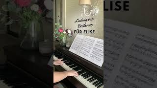 Ludwig van Beethoven - Für Elise