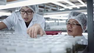 Biotechnology : Changing lives in Asia-Pacific | Siam Forestry Laboratory, Thailand