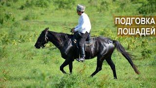 Подготовка кабардинских лошадей к конным переходам. Ахмед и Олег Куашевы.  ООО Исуф