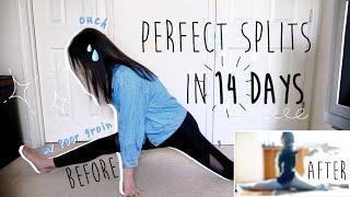 Getting My Splits in 14 DAYS (NOT FLEXIBLE)