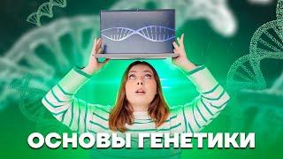 Основы генетики | Биология ЕГЭ для 10 класса | Умскул